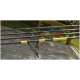 Canne carpe multicolores