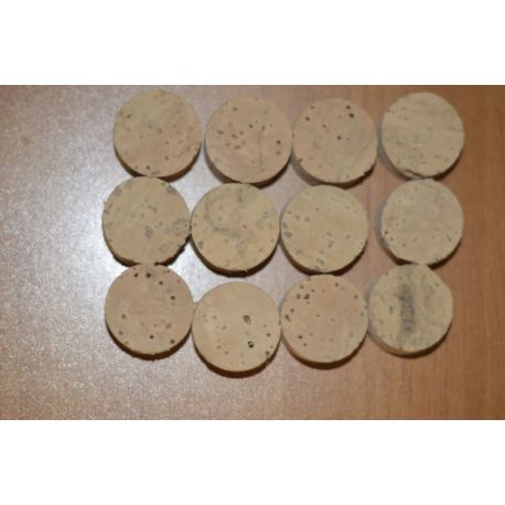 lot de 12 disques top flor 25.5mm x 12.5mm sans trou central