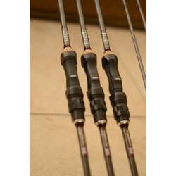 canne carpe parabolique stalker 10' 1.75lb unground