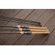 Canne carpe aviator 9 pieds 3.25lb 2 brins