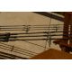 Harrison Telos 10ft 3.25lb : la canne carpe 10 pieds compacte par excellence